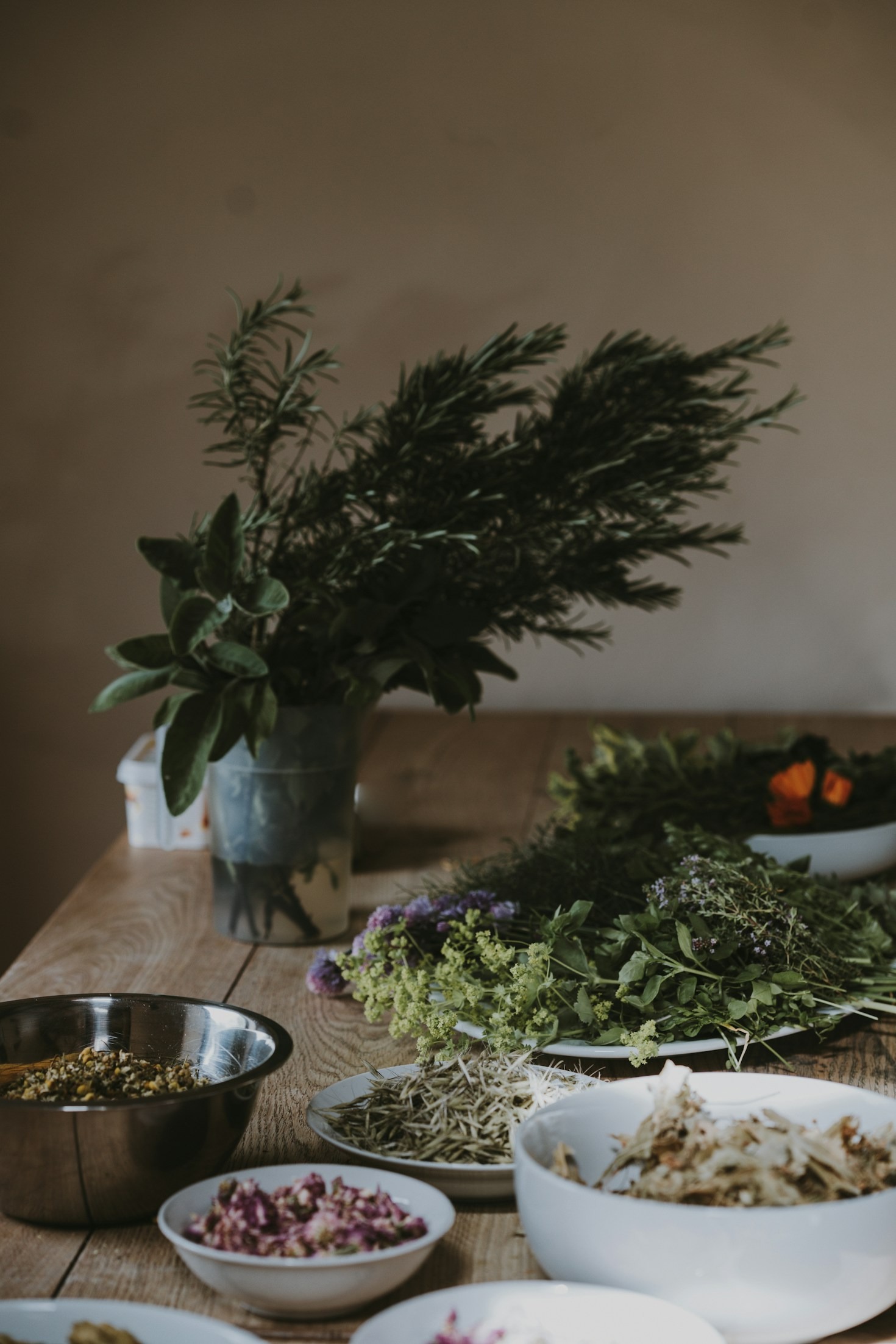 Erbe e piante: alleati del tuo benessere
